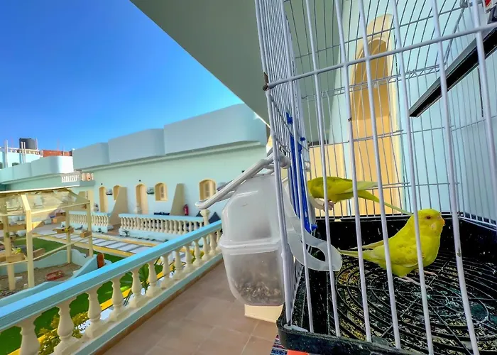 La Perla Hotel Dahab